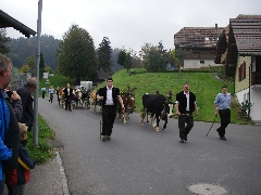 Jodlerreise 2015