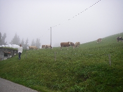 Jodlerreise 2015